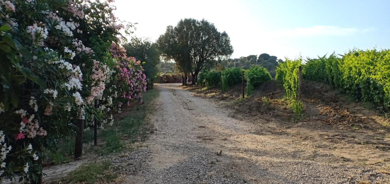 Agriturismo Muristene Villa Dorgali Exterior foto